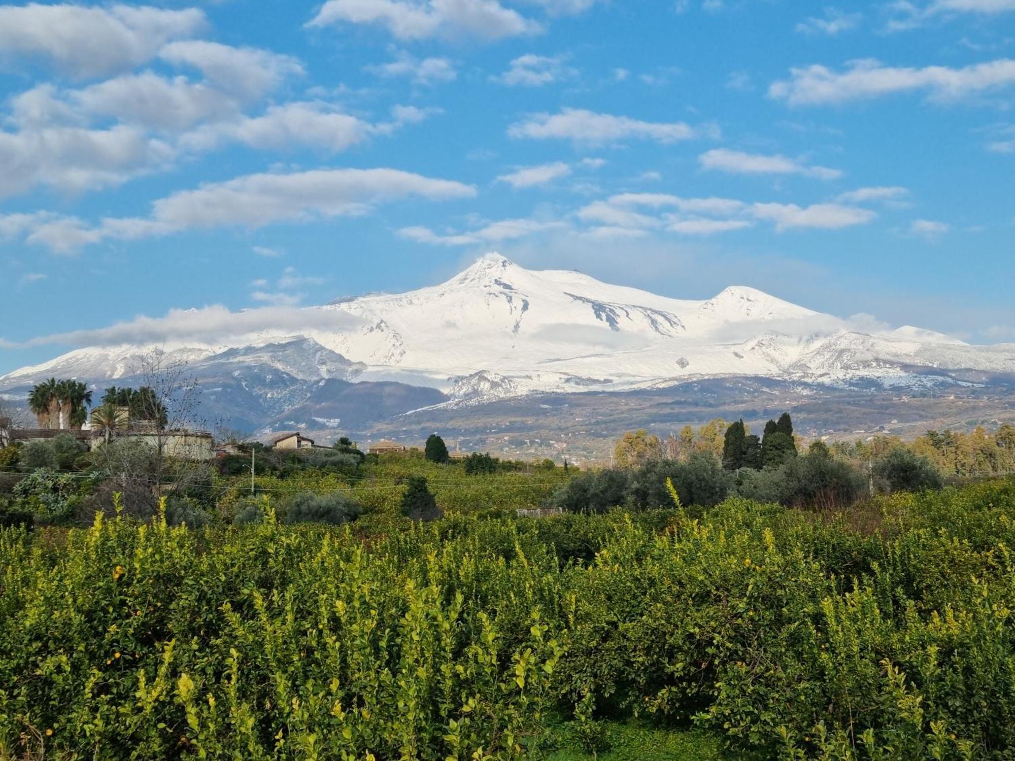 Delightful Relaxing Home With Heated Pool Near Catania, Taormina, The Sea And Mount Etna Giarre Exterior foto